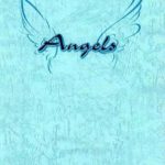 Angels-Portfolio