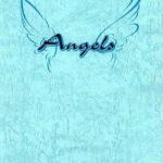 Angels-Portfolio